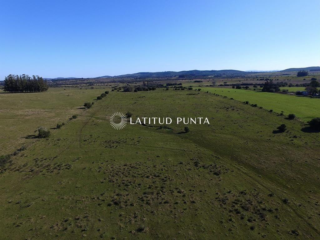 Campo de 22 has próximo a San Carlos y Punta del