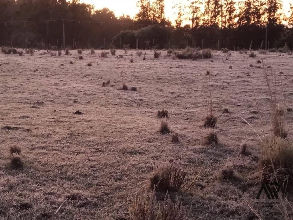 Campo en venta Lavalleja