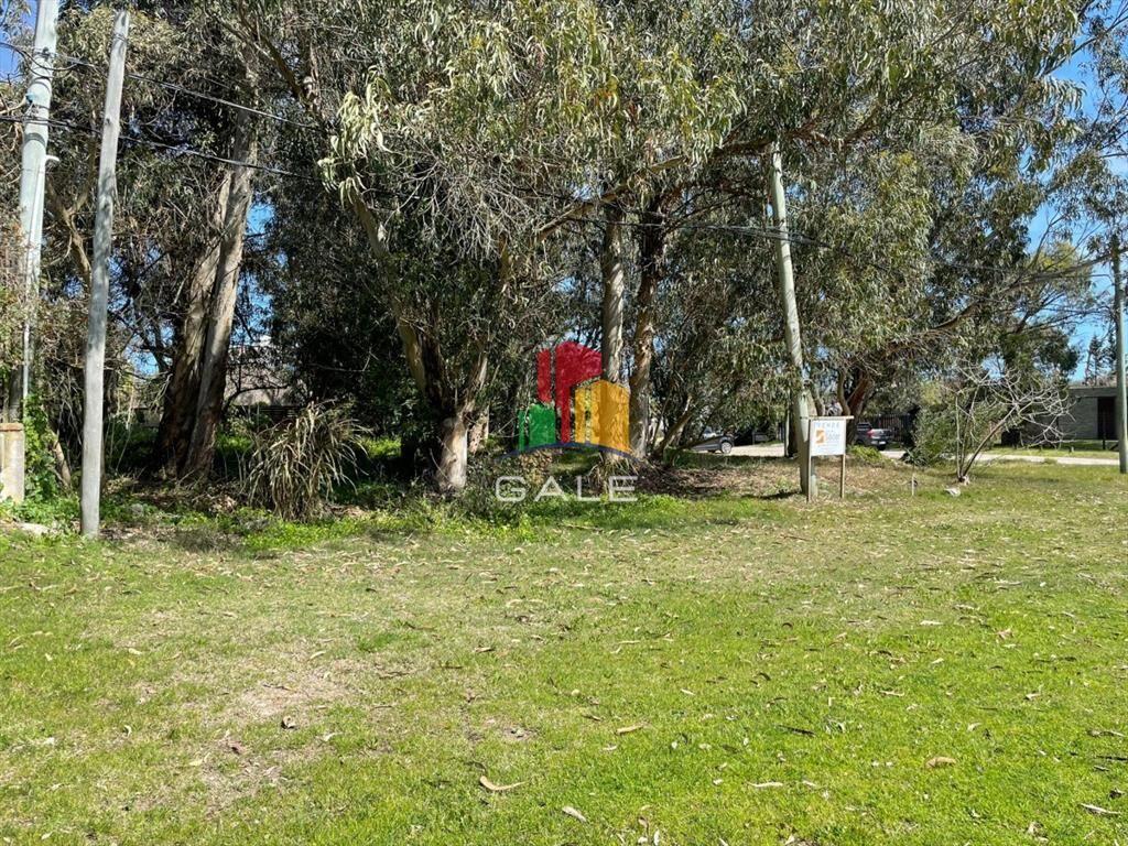 Terreno 10000 m2 , en Pinares - Punta del Este