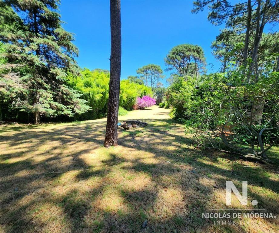 Venta Casa en Portezuelo, zona bosque, Punta Ballena