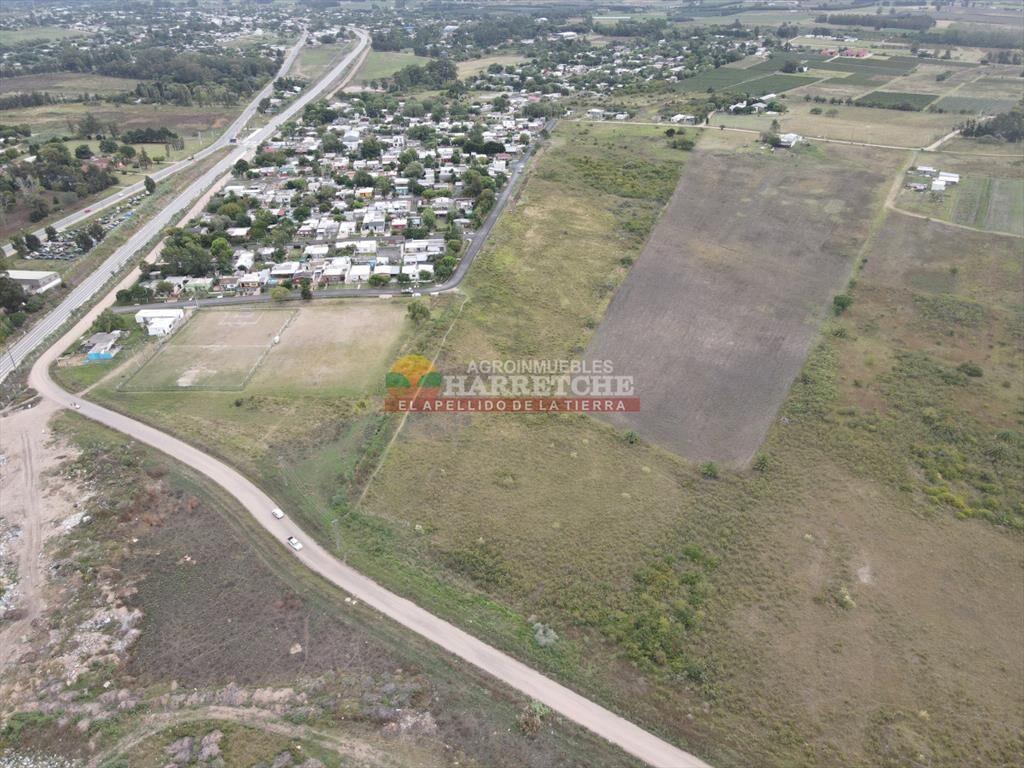 Jardín de Los Manzanos   - Terrenos en Progreso