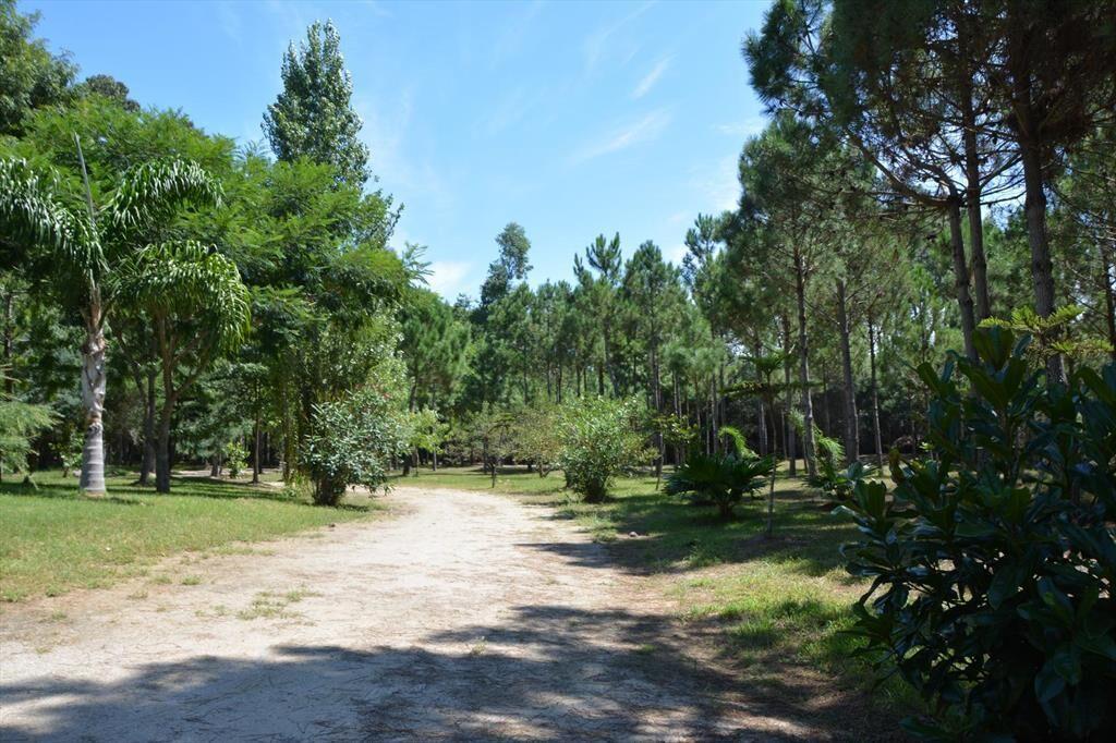 Venta de Lote de 10 Hectáreas sobre Ruta10 cerca de Valizas