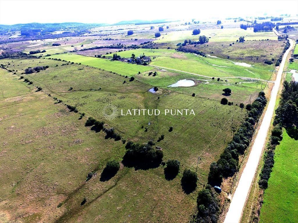 Campo de 22 has próximo a San Carlos y Punta del