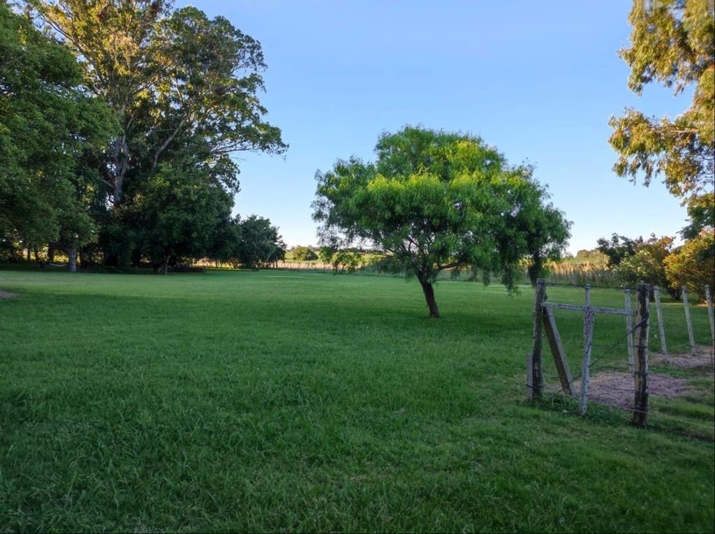 Oportunidad única: chacra de 6 ha con piscina y 6 dormitori