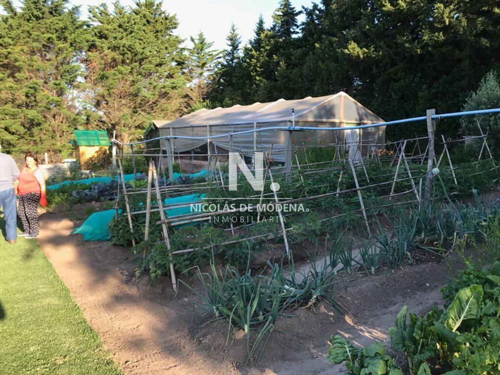 En venta chacra de 6hectareas en Jose Ignacio.