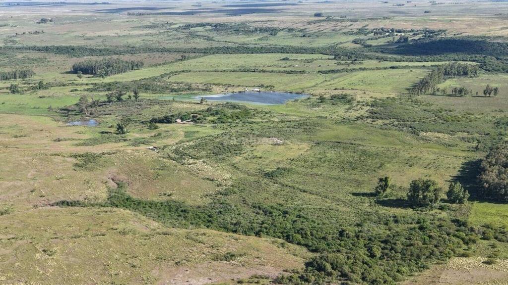 Campo Ganadero en Artigas