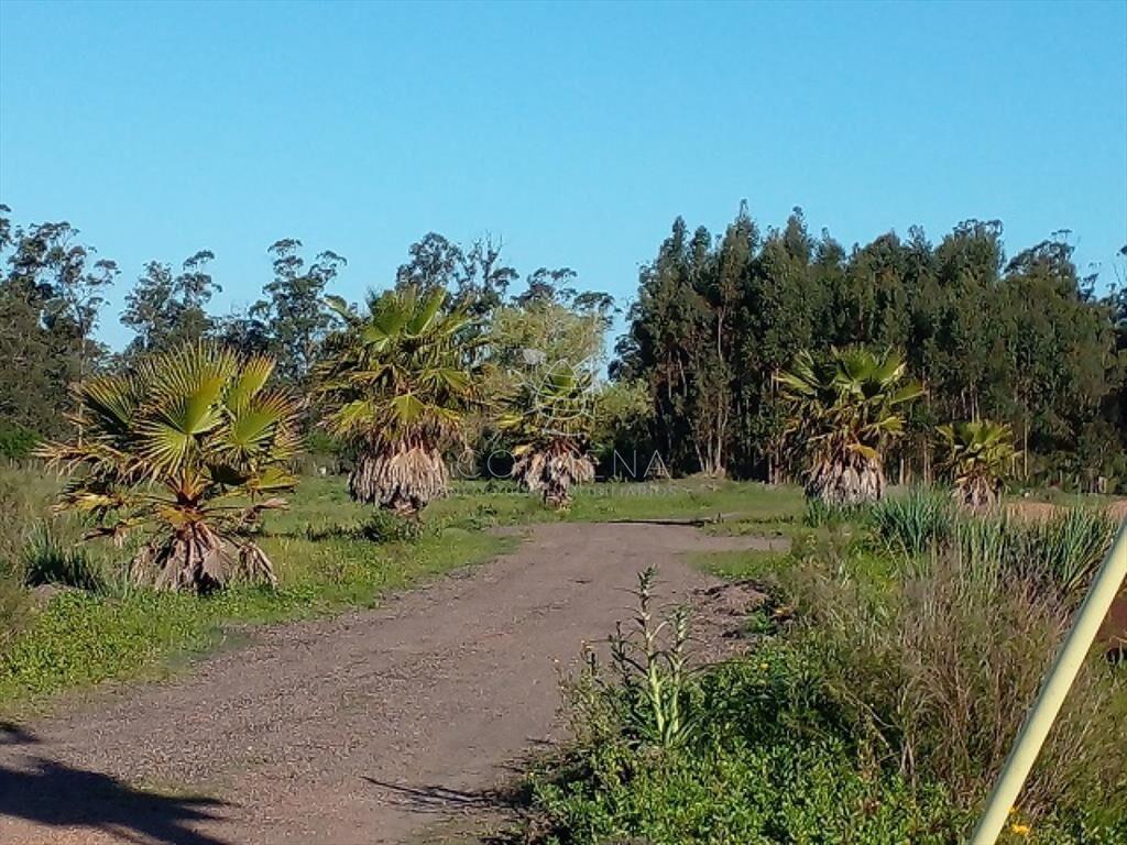 Chacra en La Pataia