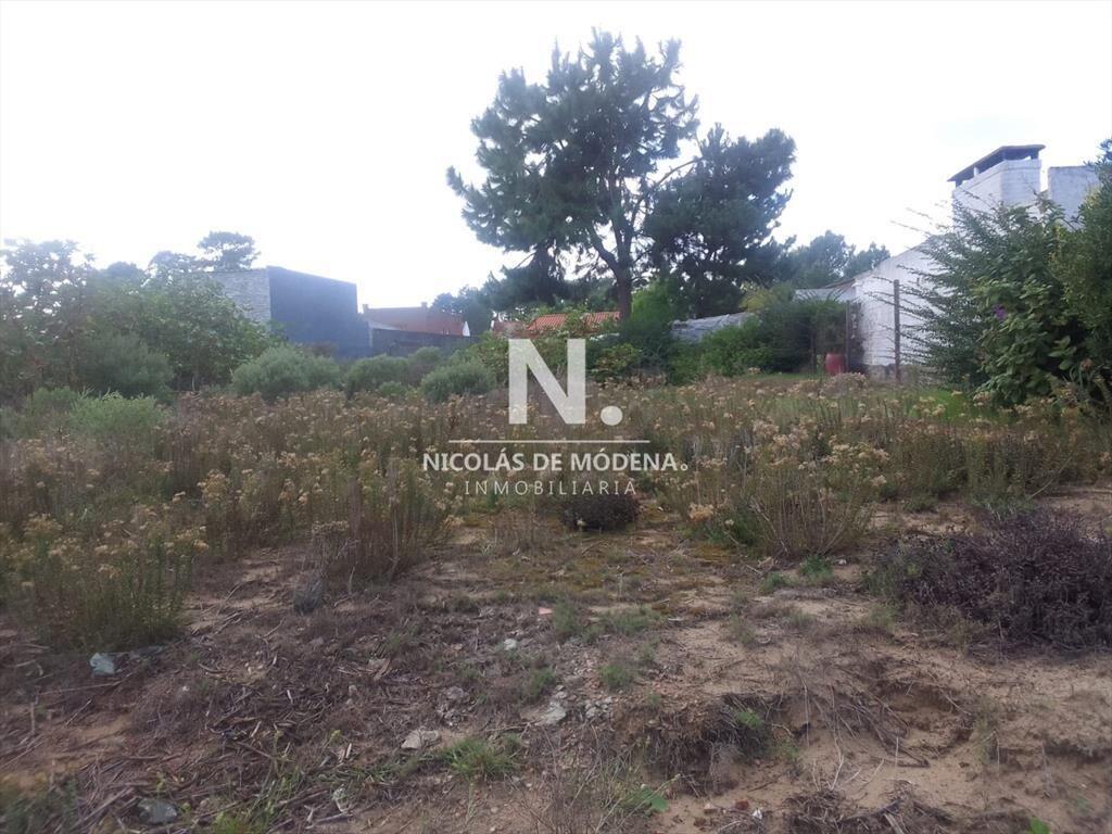 Terreno en Altos del Pinar