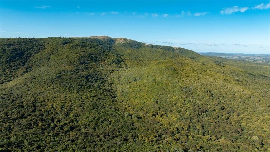Campo en Venta en Sierra de las Ánimas, Ladera sur