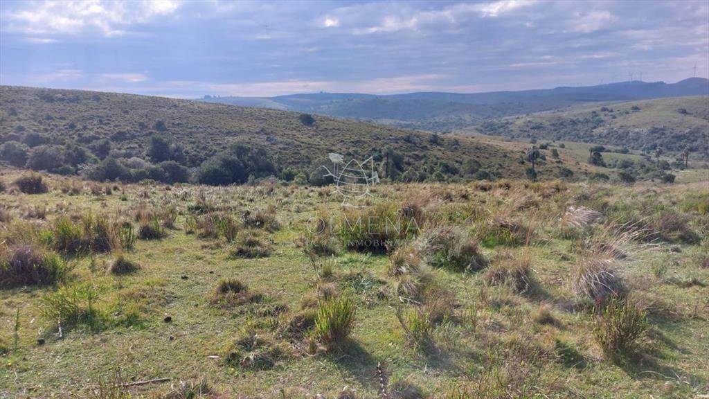 Campo cerca de Aigua