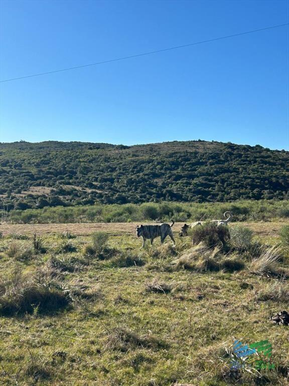 15 Has con todo lo que buscas, vistas cañada, y
