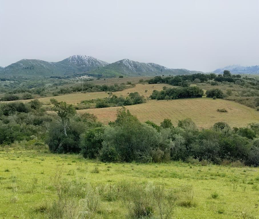Chacra en Venta entre Ruta 12 y Ruta 60