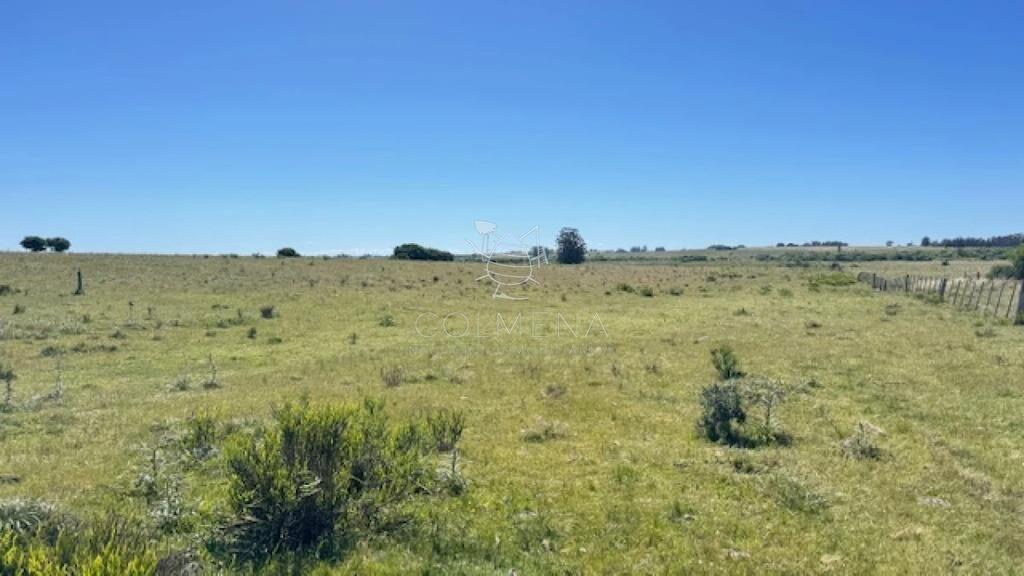 Se venden 2 chacras a 15 km de San Carlos