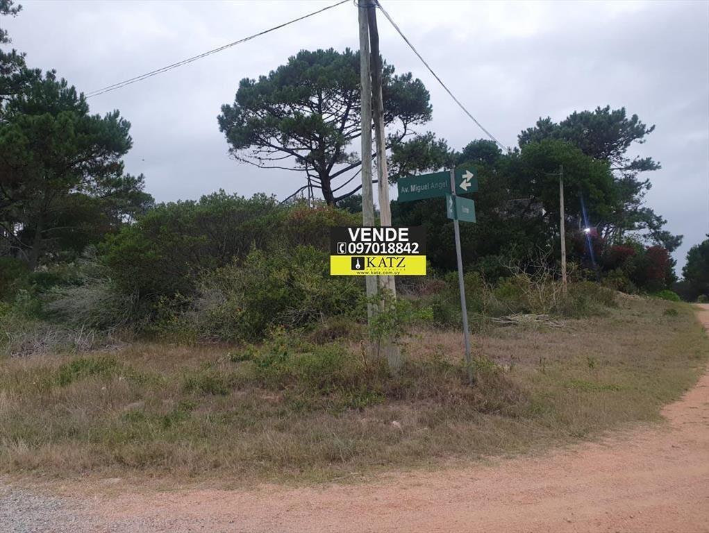 28 de la Brava, 3 cuadras de la Rambla, 1000 m2 !!