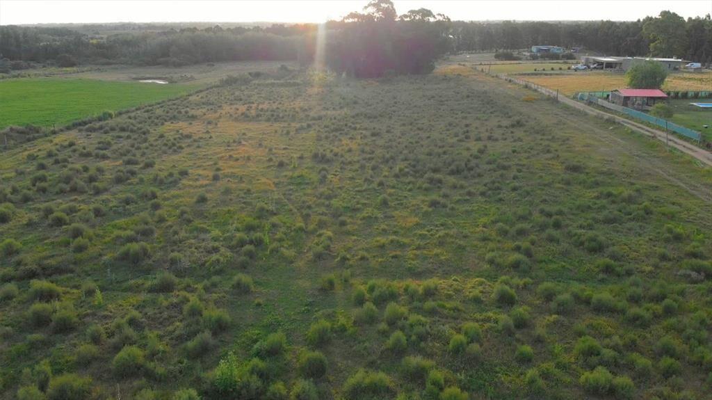 Venta de campo 3Ha. en Empalme Olmos