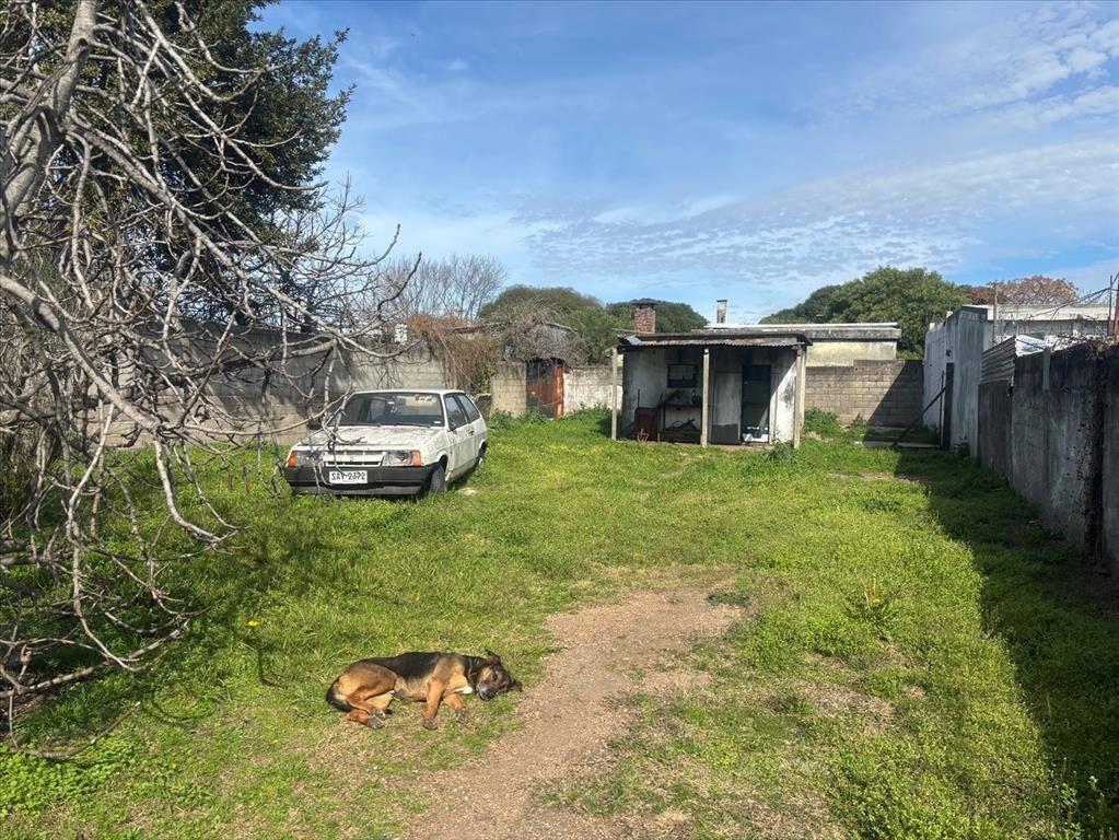 Casa de tres dormit, con gran terreno.