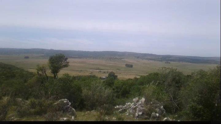 Terreno sobre Ruta 8 con Agua Natural y Proyecto Turístic