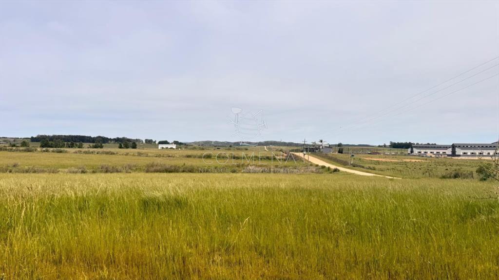 Chacra 6 has con 8793 m2 en Laguna del sauce