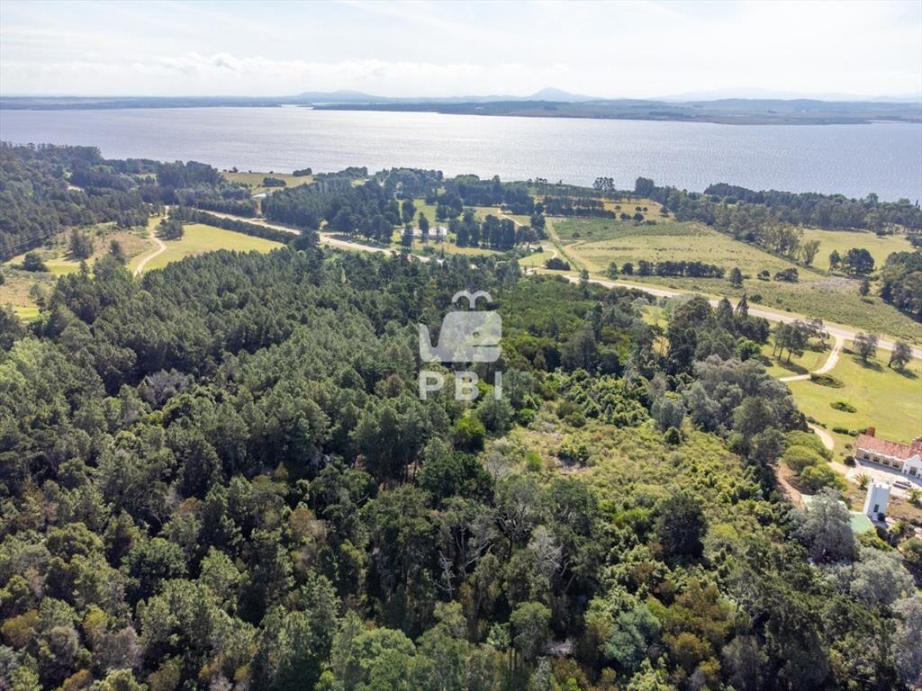 Chacra en venta en Laguna del Sauce, Punta - Ref