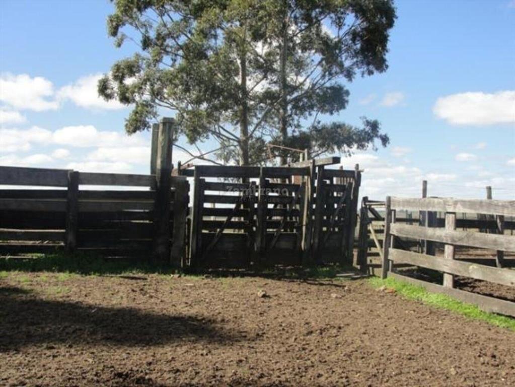 Estancia Agrícola Ganadera I Cerro Largo I Ha: 525. IC: 113