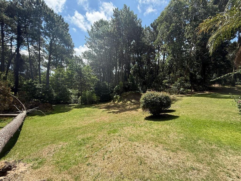 Terreno en Parque Burnett – 3076m²
