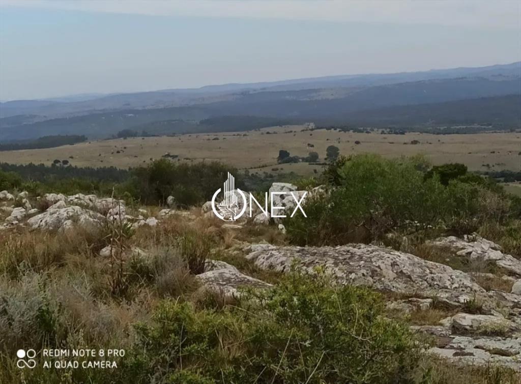 Oportunidad Venta de chacra de 7.8 Hectáreas en