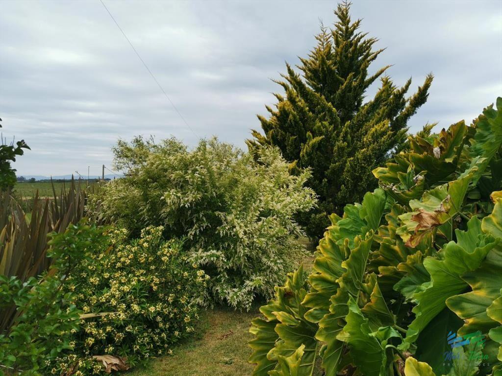 En venta chacra de 6 hectareas con casa a 1 hora