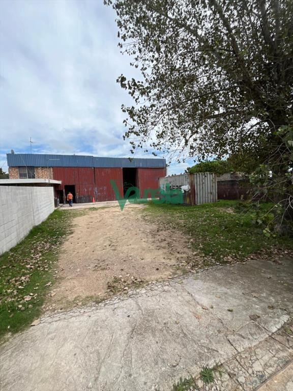 Alquiler de gran galpon, 220 m2 en Neptunia, a 8
