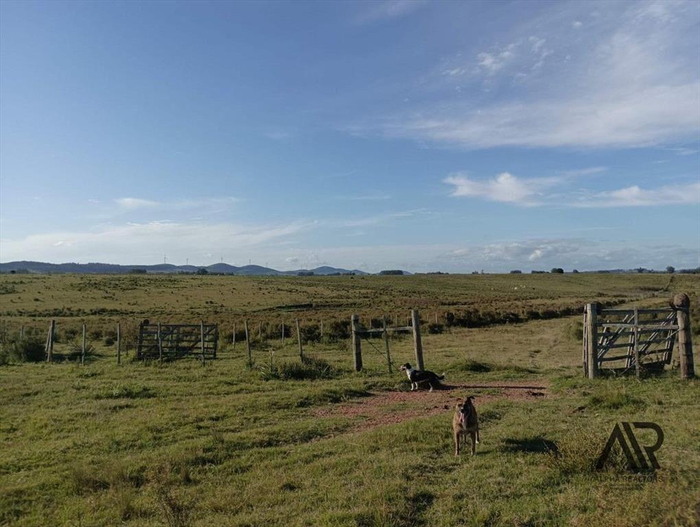 Venta Muy Buen Campo De 78 Hectáreas, Zona Muy Accesible...