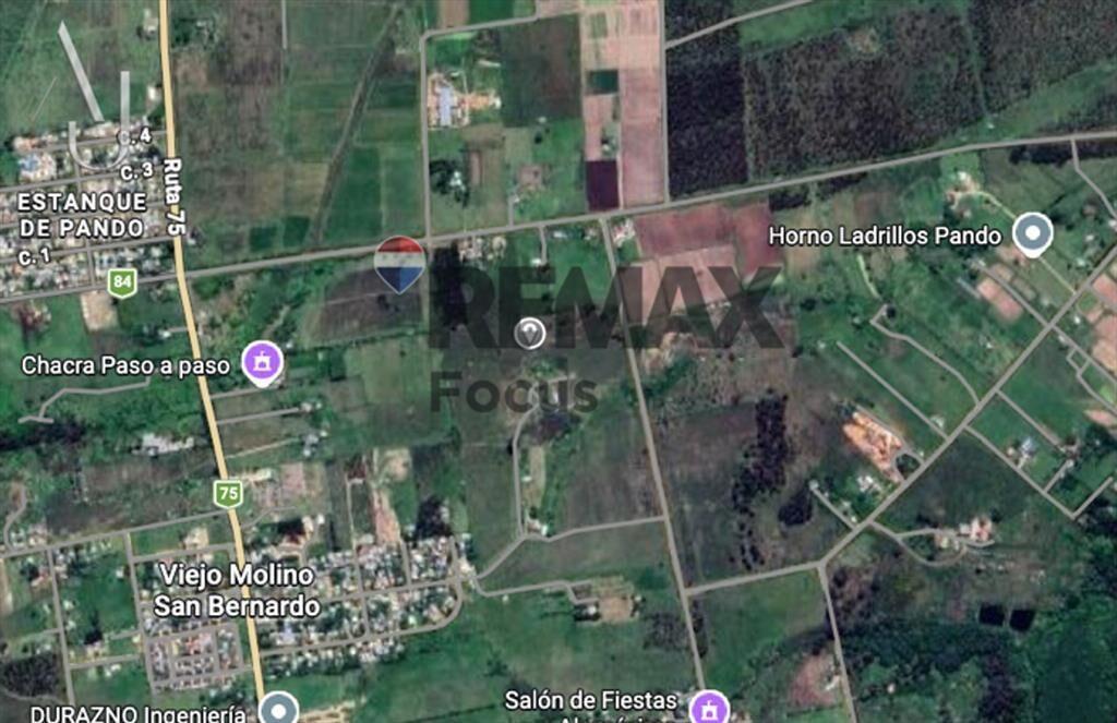 Venta de campo de 2,5 hectáreas próximo a Pando