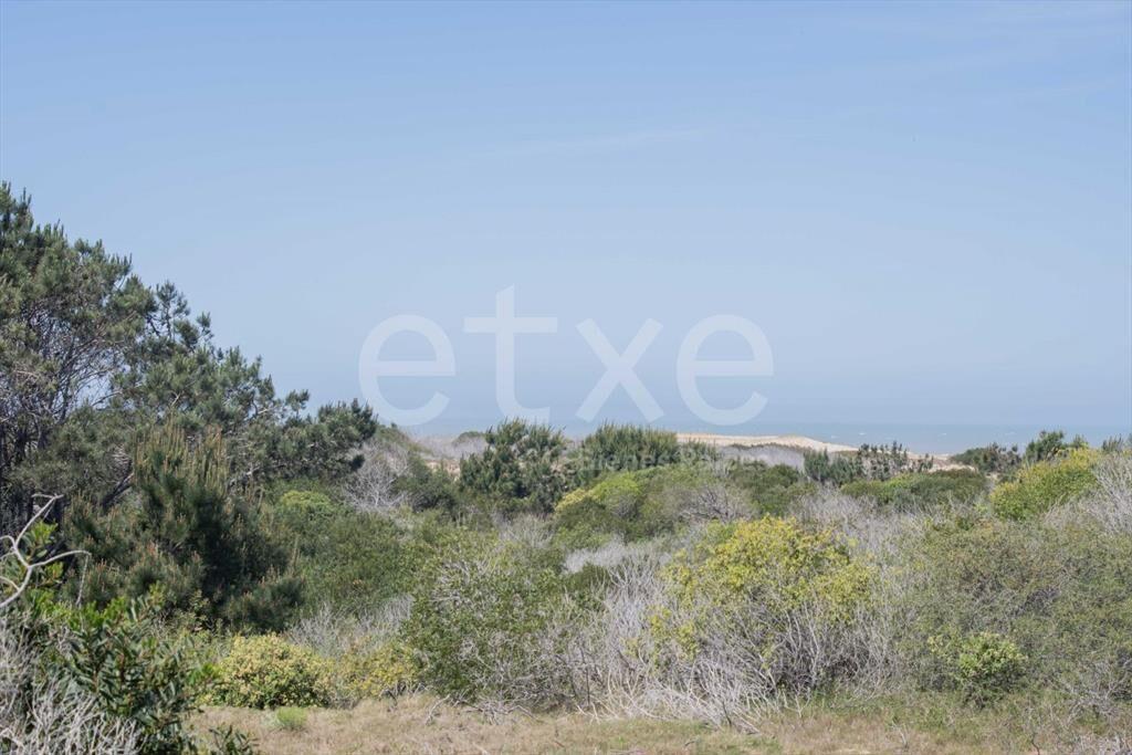 Terreno en Venta San Anotnio Rocha...