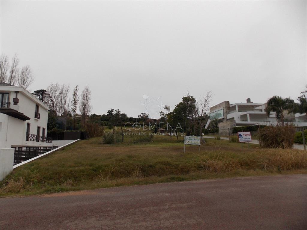 Terreno en Punta Ballena con muy buena vista al