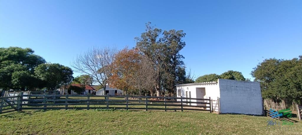 Muy buen campo mixto Ganadero-Forestal de 690 Has