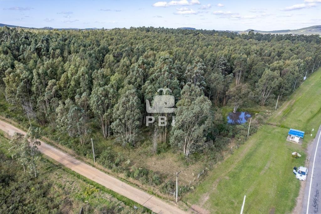 Chacra de 5Has sobre Ruta Interbalnearia, Las Flores - Ref