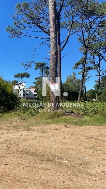 Gran oportunidad, Terreno en venta.