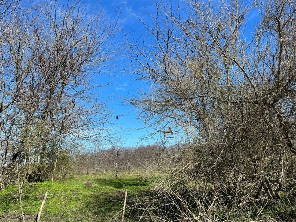 Campo en venta de 20m2 ubicado en Canelones