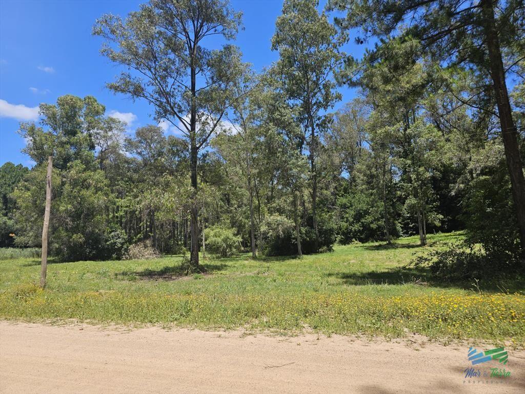 Vendo terreno de 1 hectárea tipo chacra en Laguna del Diar