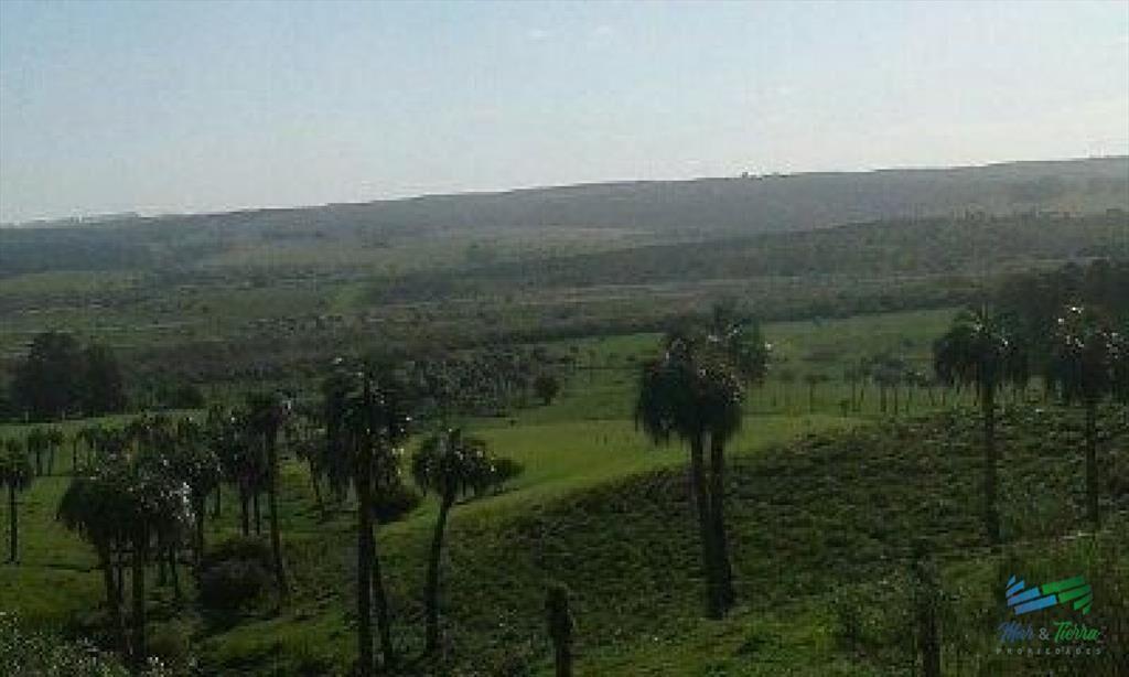 Campo en venta