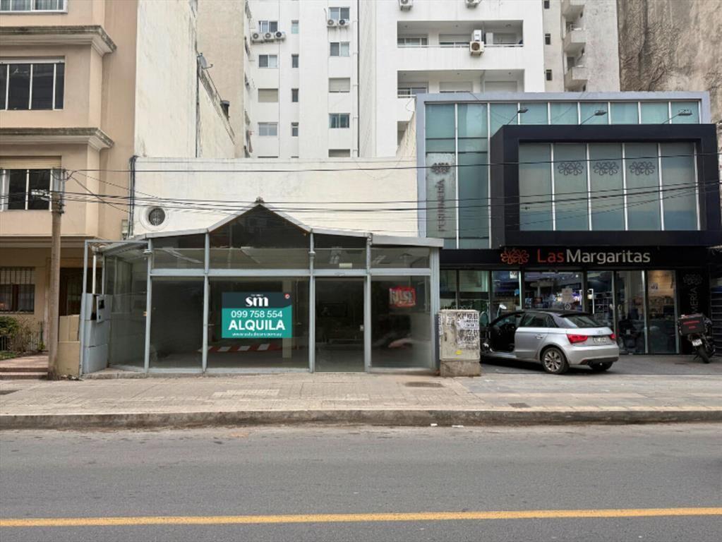 Alquiler local comercial en Punta Carretas