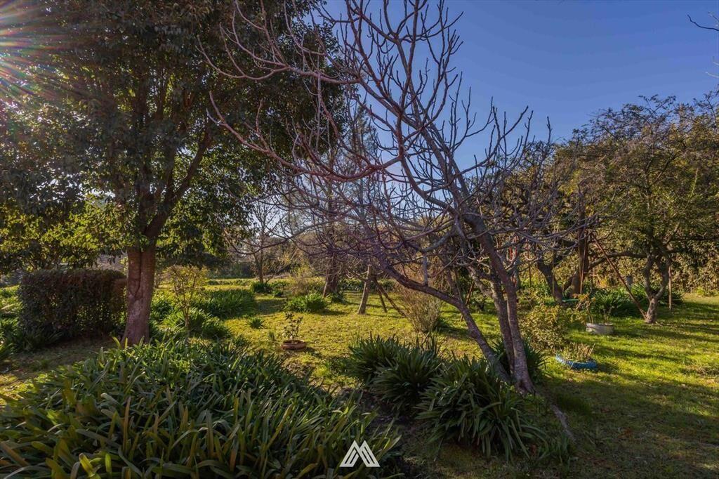 Venta gran padrón punta de rieles casa y terreno