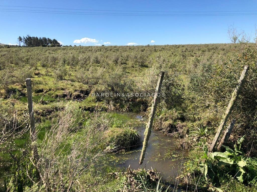 Campo en venta excelente lugar