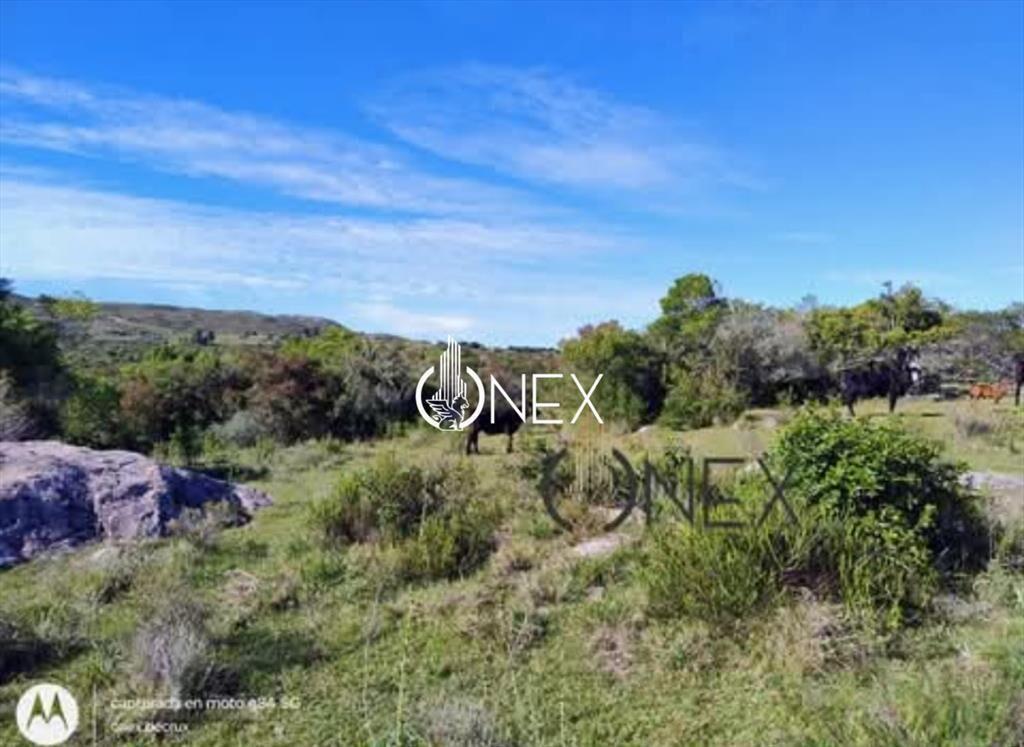 Oportunidad Venta de chacra de 7.8 Hectáreas en