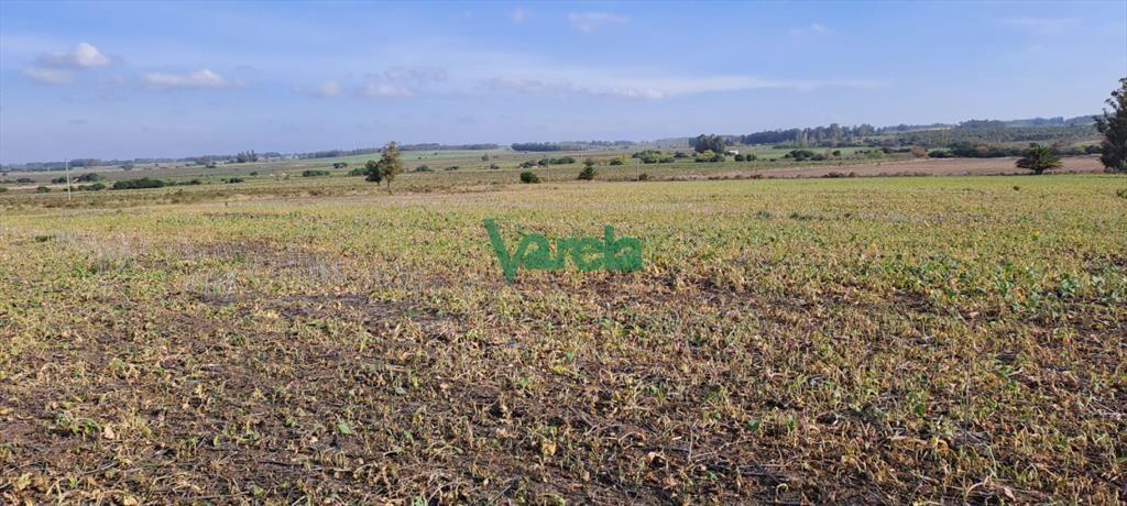 Campo 108 has. próximo a San Jacinto