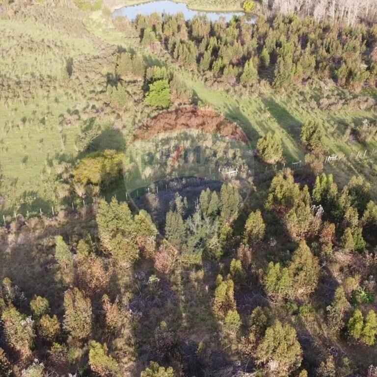 Venta de Campo 3 Ha. en Ruta 8 Km.45 Empalme Olmos