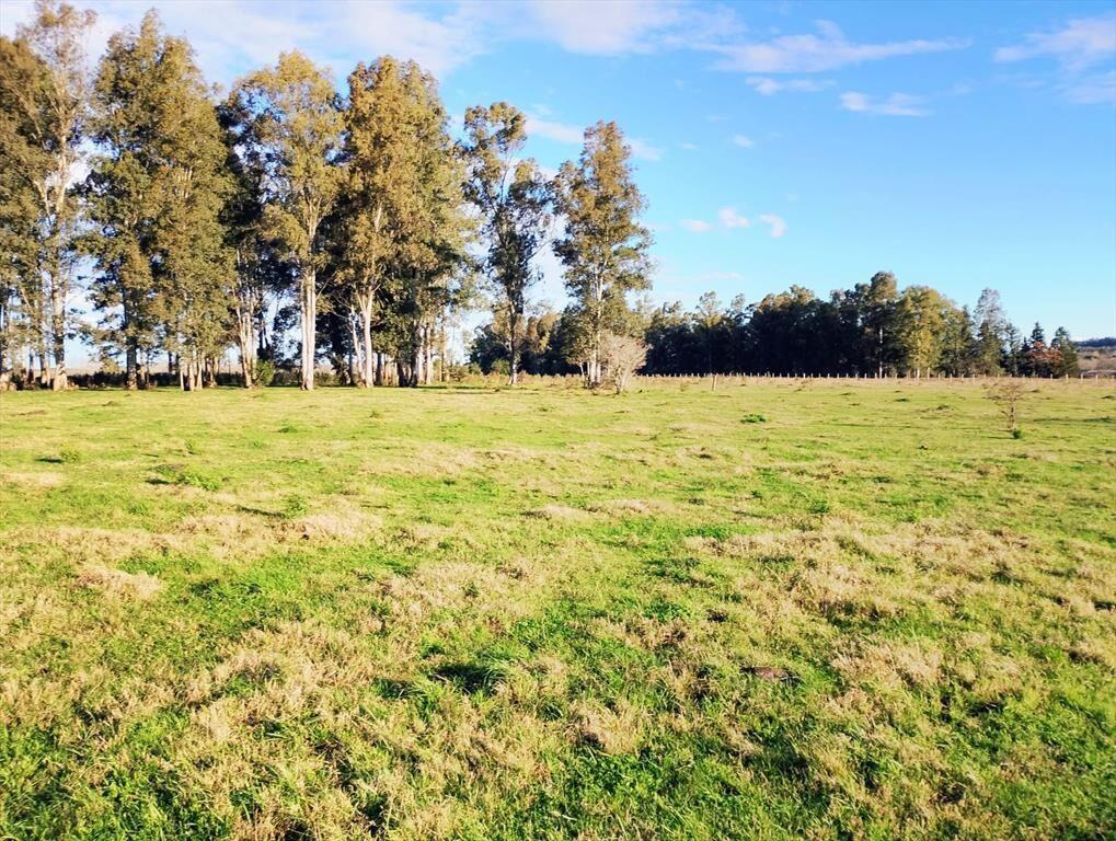 VENTA DE CHACRA 8 HAS. EN PAYSANDU