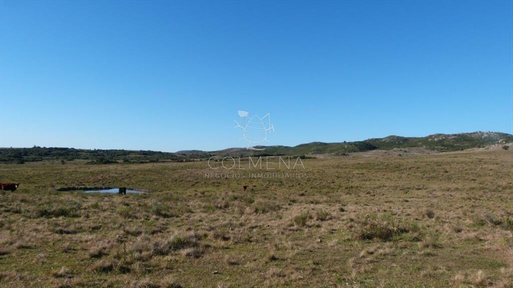 Campo cerca ruta 39 en las Cañas