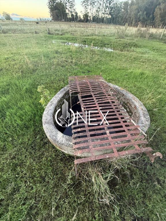 Se vende chacra en Sarandí de la china en