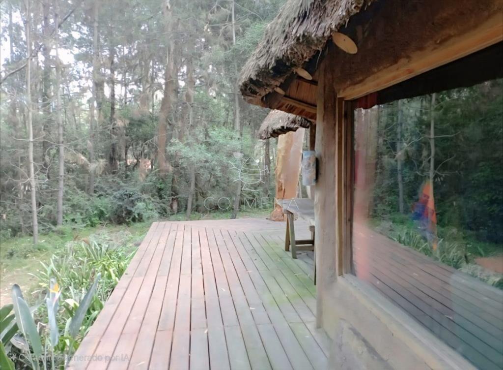 Casa en Burnett