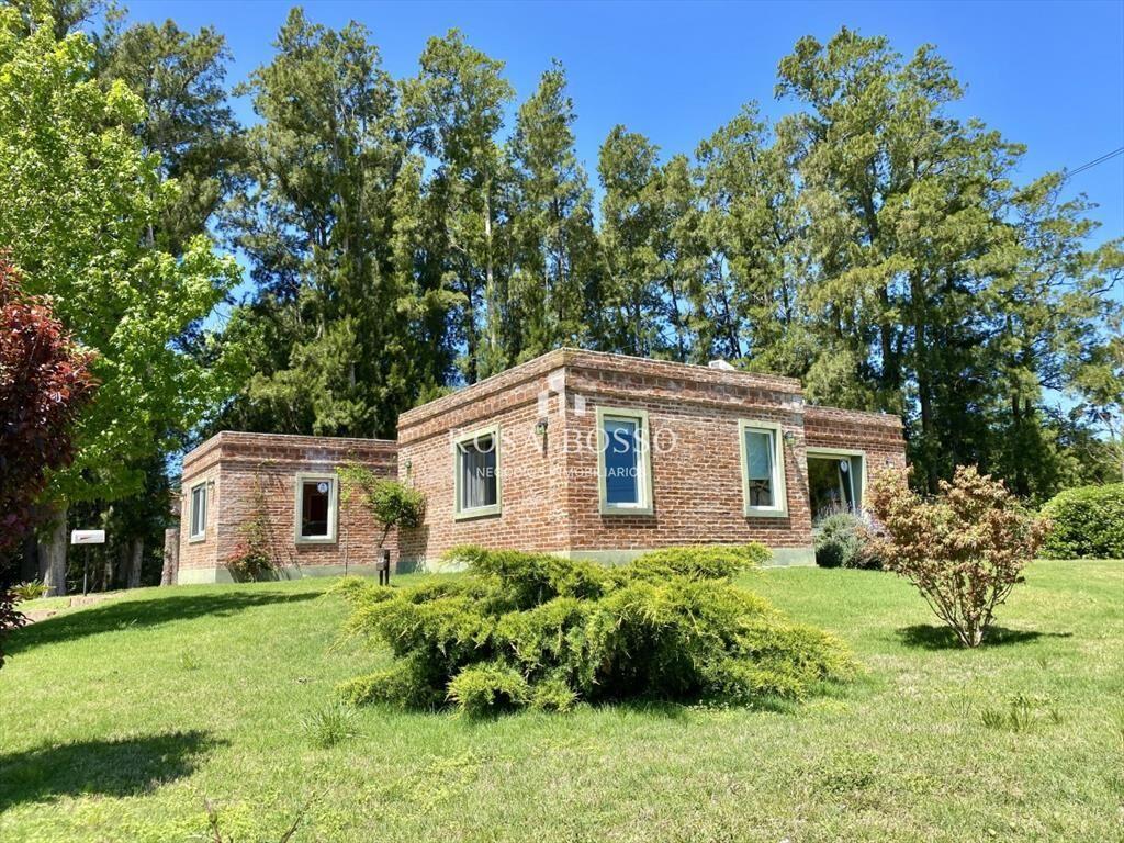 Casa, Alquiler, 3 dormitorios, Piedras del Punta