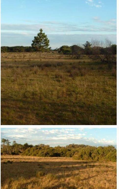 Exclusivo terreno de 117 HECTAREAS EN LA COSTA DE CANELON...